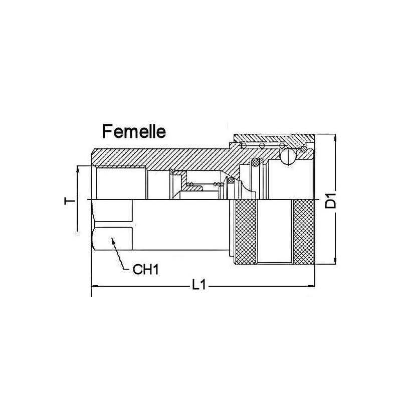Coupleur hydraulique ISO A - Femelle 1" BSP - débit 189 à 280 L/mn - PS 250 Bar A800216 62,08 €