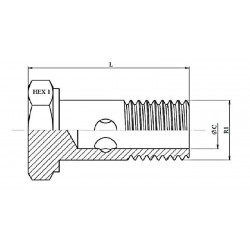Single screw - M10x100 - for Banjo coupling 