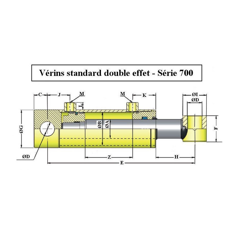 Verin hydraulique double effet 25x40 - avec Fixation Ø 20  - Sortie 3/8 BSP - 701