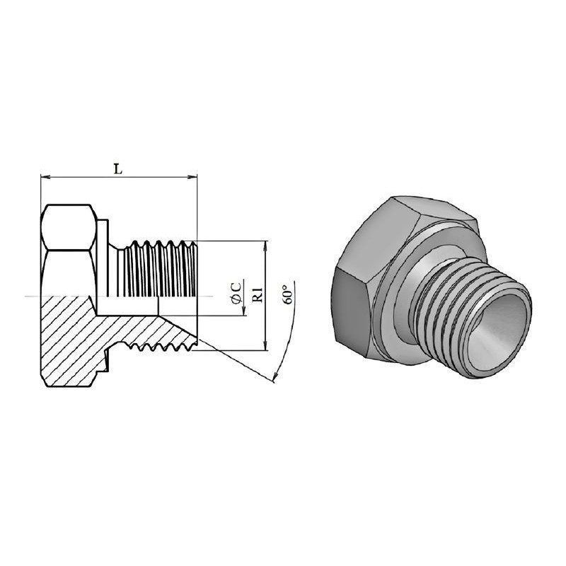 Bouchon mâle  - raccord MBSPCT 2" - Cône 60  - 3