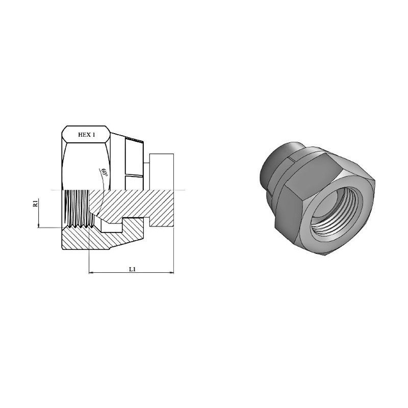 Bouchon femelle - raccord TBSP 3/4 - Cône 60  - 3