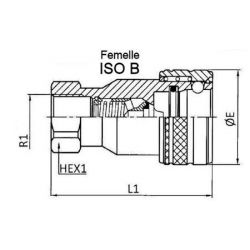 ISO B coupling - Female 1/4 BSP - Flow 12 L/mn - PS 250 Bar
