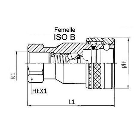 ISO B coupling - Female 1/4 BSP - Flow 12 L/mn - PS 250 Bar