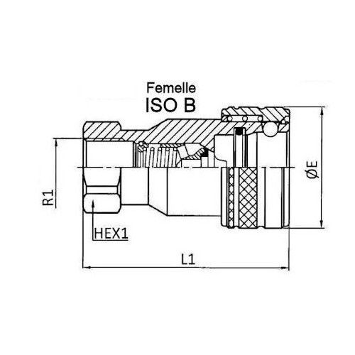 Coupleur ISO B - Femelle 3/8 BSP - Débit 23 L/mn - PS 250 Bar