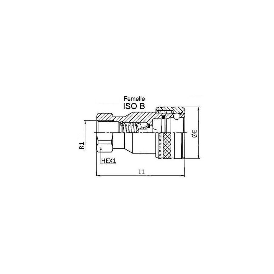 ISO B coupling - Female 3/8 BSP - Flow 23 L/mn - PS 250 Bar