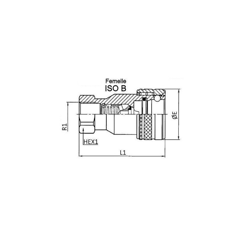Coupleur ISO B - Femelle 1" BSP - débit 189 L/mn - PS 200 Bar B810216 93,62 €