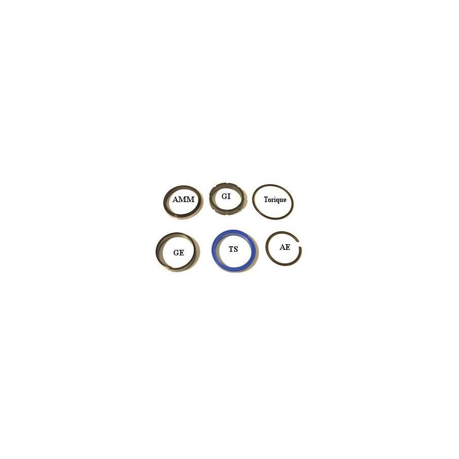 Set of seals S.E reinforced - ROD of 55 - SE55 - CICROSA J655 83,65 €