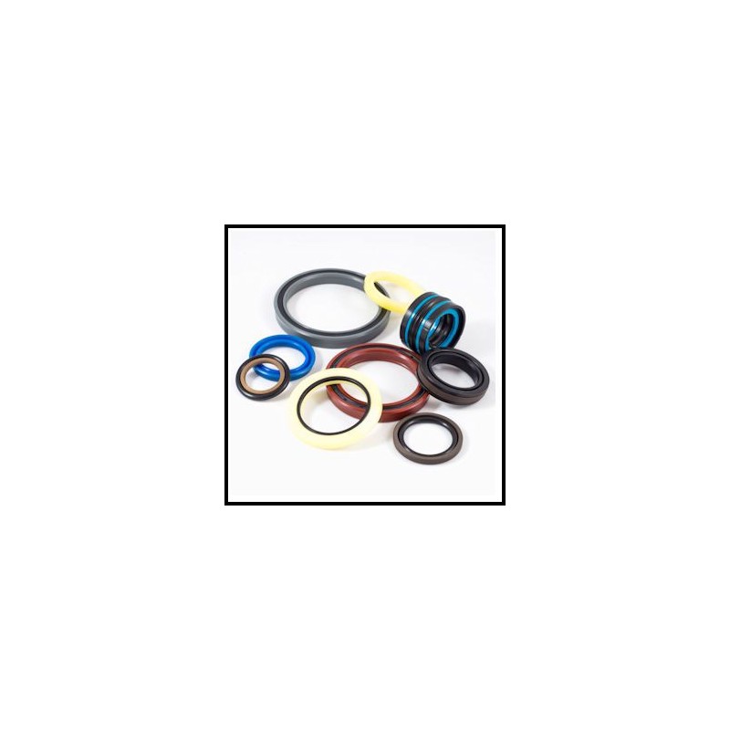 Verin hydraulique double effet 40x80 - avec Fixation Ø 30 - Sortie 3/8 BSP - 705 CICROSA - 5