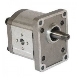 Hydraulic pump CASE IH - FIAT - RIGHT - 19 CC CASE5129493 € 134.63