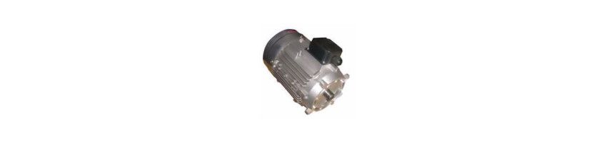 Mini power plant motor 220/380 TRI - Au Comptoir Hydraulique